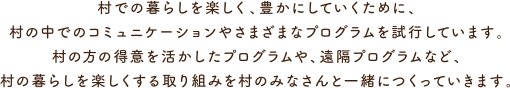 村での暮らしを楽しく、豊かにしていくために、村の中でのコミュニケーションやさまざまなプログラムを試行しています。村の方の得意を活かしたプログラムや、遠隔プログラムなど、村の暮らしを楽しくする取り組みを村のみなさんと一緒につくっていきます。